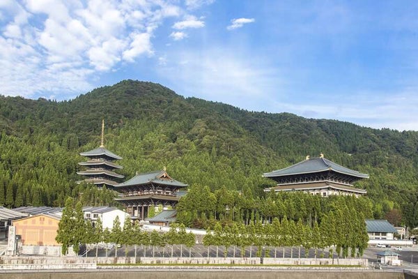 【泉州地区発】 大自然の涼美と温泉&グルメで五感を満たす!初秋の福井最旬ルート2日間2